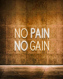 No Pain No Gain LED Neon Sign USB Dimmable Wall Light for Gym Office Man Cave Gamer Room Decor