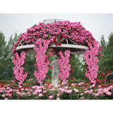 Cherry Blossom Branches 43.3In Long Stem Artificial Flowers Cherry Blossom Flowers Silk Flowers Faux Flowers Arrangements For Tall Vase For Wedding Home Bedroom Party Decor (Dark Pink)