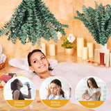 22 Pcs Dried Eucalyptus Bundle For Shower - 17" Large Preserved Eucalyptus Stems Shower Plant, Fresh Real Eucalyptus Leaves For Shower Hanging, Artificial Flowers Arrangement, Home Bathroom Decor