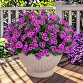 15 Bundles Artificial Flowers For Outdoors, 15" Fake Pansies Silk Flowers Uv Resistant Faux Plants For Front Door Garden Porch Yard Spring Summer Indoor Outdoor Home Decor, Fuchsia