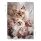 Ragdoll Cat And Kitten Greeting Card From Sweet Mother’S Day Or Friendship Card For Cat Lovers – 5X7 Premium Blank Card With Envelope – Made In Usa