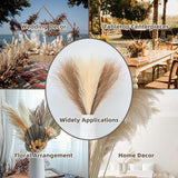 Faux Pampas Grass, 18"/45Cm Artificial Pampas Grass Fluffy 6 Stem Pompous Grass Flower Arrangement For Boho Home Wedding Decoration (Beige,Taupe)