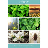 Essentials Candle, Awaken, 8 Oz. - Scents Of Cornmint, Peppermint, & Vanilla - 100% Soy Wax, No Lead, Hand Poured, Phthalate Free, Made From Midwest Grown Soybeans, All Natural Wicks