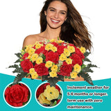 Artificial Cemetery Flowers For Graves Realistic Peony Headstone Flower Saddle Memorial Cemetery Flowers Grave Decorations For Cemetery Uv Resistant & No-Fade (Red Yellow)