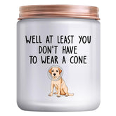 Funny Get Well Soon Gifts: After Surgery Recovery Encouragement Gift For Friends Female Humor Sympathy Candle Gifts For Men Feel Better For Sick Women