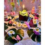 72Pcs Hawaiian Party Decor Set (Artificial Plumeria Flowers, Monstera Leaves, Butterflies & Glue) For Beach Luau, Summer Party, Jungle Theme Wedding, Birthday Table Decor