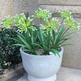 Faux Outdoor Flowers Realistic Artificial Plants 8 Bundles Plastic Flower Outside 18.9 In Fake Greenery Stems Green Flower For Pot Planter Decor Outside