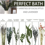 67 Pcs Dried Lavender Eucalyptus Plant For Shower - Natural Hanging Bundle With Real Leaves Branches For Spa, Bathroom Decor, Flowers Arrangement