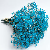 Preserved Baby'S Breath 3 Bunches, 100% Natrual Fresh Gypsophila Long Lasting Flowers For Vase Arrangements Home Decoration Photo Props Parties And Weddings, Diy Décor-Light Blue
