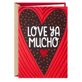 Hallmark Pop Up Valentine's Day Card (Love Ya Mucho)
