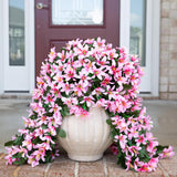 Artificial Fake Hanging Flowers Plants For Outdoors Decoration, Uv Resistant 2Pcs Faux Lily Flower Vines For Home Patio Porch Balcony Garden Yard, Pink