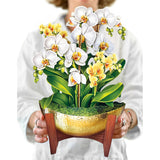 Pop Up Cards, Serenity Orchid, 12 Inch Life Sized Forever Flower Bouquet 3D Popup Greeting Card, Birthday Cards, Get Well Gifts, Blank Notecard & Envelope