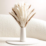 Pampas Grass With Vase Decor For Living Room, Bathroom, Desk, Table Centerpiece | White Ceramic Vase Set With 100 Pcs Dried Plants Fall Decoration, Cream Beige Aesthetic 17" Tall