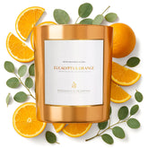 Eucalyptus Orange Wood Wick Candles | Soy Christmas Scented Candles For Home | Holiday Candle Gifts For Women And Men | Home Fragrance | Aromatherapy | Shelf Decor | 8Oz, 45 Hour Burn