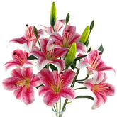 12 Artifical Lily Flowers With 9 Heads Full Bloom Lily & 3 Buds, Long Stem Artificial Stargazer Lilies, Faux Tiger Bouquets For Home Hotel Office Party Decor Table Centerpieces?Dark Pink