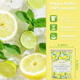 Lemon Candle,Lemon Scented Candles,Spring Summer Scented Candle For Home & Kitchen, Natural Soy Wax Candles,Candles Gift For Womens,Valentines Gift,10Oz