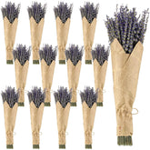 12 Pack Total 2280 Stems Dried Lavender Bundle Bulk Organic Lavender Flowers Decor Natural Dried Purple Flowers Bunches For Bathroom Shower Diy Arrangements Wedding Home Party Decorations