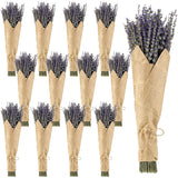 12 Pack Total 2280 Stems Dried Lavender Bundle Bulk Organic Lavender Flowers Decor Natural Dried Purple Flowers Bunches For Bathroom Shower Diy Arrangements Wedding Home Party Decorations