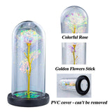 Galaxy-Artificial Rose-Flowers-Forever Enchanted Rose With Colorful Led Light In Glass Dome For Romantic Gifts Anniversary