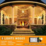 66FT Outdoor LED Rope Lights 200 LED Warm White Waterproof Plug In Flexible Tube Lights with 8 Modes