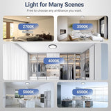 6 Pack 12 Inch LED Ceiling Lights 2640LM 5CCT Dimmable Black Flush Mount