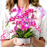Birthday Cards, Mothers Day Cards With Light And Music, Orchid Oasis, 10 Inch Life Sized Forever Flower Bouquet, Greeting Card For Thank You Cards Get Well Soon For Her Women Wife Mom Daughter Sister (Blank Notecard & Envelope)