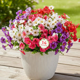 14 Pcs Artificial Plants & Flowers, Uv Resistant Fake Flowers, Spring Flowers Artificial,Faux Flower Daisy With Eucalyptus Leaves For Outside Home Planter Window Porch Patio Yard