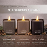 Set Of 3 Premium Scented Soy Candles Gift Set | Dusk To Dawn Collection - Canadian Cedar, Black Amber & Sandalwood | Crackling Wood Wick | Luxury Candles For Relaxation, Home Décor, Gifts | 9.8Oz Each