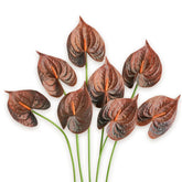 Real Touch Anthurium Artificial Flowers, 8Pcs Brown Faux Tropical Flowers With Stems For Boho Wedding Bouquets, Rust Fall Centerpieces & Jungle Party Decoration