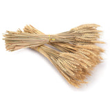 300 Stems 16 Inch Dried Wheat Sheaves, Natural Wheat Stalks Bundle Fall Arrangement For Diy Craft, Home Table, Wedding