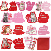 48 Sets Assorted Cat Valentines Days Cards For Kids Classroom School Cute Cat Valentines Cards With Envelops Stickers Greeting Cute Pet Love Cards For Girls Boys Kids Party Gift Exchange Brithday Supplies Favors Double Sided Printing