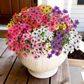 14 Bundles Artificial Flowers Uv Resistant For Patio Outdoors Fake Faux Silk Plants Realistic Plastic Flowers Indoors Porch Window Decoration (14, Mixed Fuchsia Purple Yellow Red Lilac Pink White)