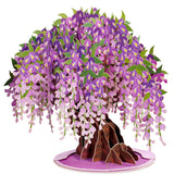 3D Wisteria Tree Pop Up Valentines Day Card, With Detachable Popup Keepsake, Gift For Valentine'S Day, Birthday, Graduation, Get Well, Thank You, All Occasion Or Just Because - Oversized 10" X 7" Cards - With Envelope And Note