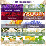 10 Pcs Thank You Candle Valentines Employee Appreciation Gift Bulk 3.5 Oz Soy Wax Scented Jar Candles For Friend Boss Employee Staff Volunteer Teacher Secretaries, 10 Fragrance(Classic Scent)