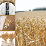 17.7 Inches Dried Wheat Stalks, 400 Stems Dried Flowers 100% Natural Wheat For Home Kitchen Wedding Party Table Centerpiece Harvest Wreath Boho Farmhouse Diy Decoration