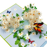 Pop Up Greeting Card Blooming White Daisy Field Flower Card Daisy Gift Spring Floral Mother'S Day Thank You Birthday Celebration