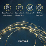 12 Pack Battery Operated Fairy Lights 7.2FT 20 LED Warm White Mini String Lights for Centerpieces Mason Jars Wedding Party Decor
