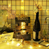 Photo Clip String Lights Battery Powered, 100 Led Fairy String Lights With 50 Clear Clips, Silver Wire String Lights For