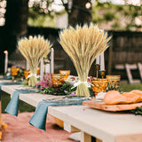 17.7 Inches Dried Wheat Stalks, 400 Stems Dried Flowers 100% Natural Wheat For Home Kitchen Wedding Party Table Centerpiece Harvest Wreath Boho Farmhouse Diy Decoration