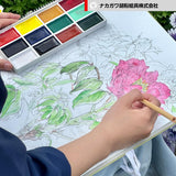 Japanese Gansai Watercolor Set – 12 Handcrafted Earth Tones, Solid Paints Made In Japan For Artists, Journaling & Illustration