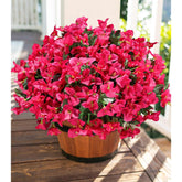 Artificial Flowers For Outdoors Spring Summer Decor, 4 Bundles Fake Bougainvillea Silk Flowers For Outside Faux Outdoor Plants Uv Resistant Realistic For Planter Patio Porch Balcony, Hotpink
