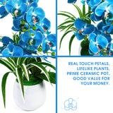 Artificial Orchid Plants And Flowers With Vase, Fake Faux Orchid In Ceramic Pot,19”, Blue