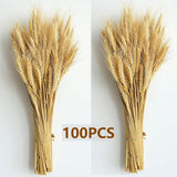 180Pcs Dried Wheat Bundle With Pampas Grass & Bunny Tails – Natural Dried Flower Bouquet For Vase, Fall Centerpieces, Wheat Straw & Wheat Grass Decor For Rustic, Boho, Floral & Nature Room Decor