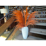 Pampas Grass Decor Tall,Long Pampas, Large Pompas Floral, Elegant Feather Flowers For Wedding Decorations, Living Room Decor (Natural Orange, 8Pcs 31.5"(80Cm))