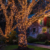 Christmas Lights 100 Count Mini Clear Lights 21Ft White Wire Christmas Tree String Lights Set For Outdoor Indoor Christmas Decorations Wedding Valentines Day Decor,Ul Certified (21Feet)