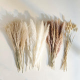 Dried Pampas Grass Decor, Natural Dried Flower Bouquet Rustic Boho Decor For Home Decor Indoor, Bedroom, Wedding, Or Gift