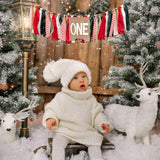 Christmas High Chair Banner For 1St Birthday - Red And Green One High Chair Banner, 1St Birthday Decoration For Boys Girls, Christmas Birthday Party Decorations,Merry Christmas Banner Photo Props