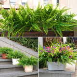 12 Bundles Artificial Boston Ferns Artificial Plants Outdoor Greenery Stems Faux Shrubs Uv Resistant For Garden Front Porch Table Window Box Home Decorations
