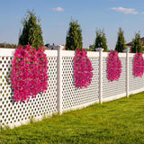 2 Pcs 50 Inch Silk Bougainvillea Artificial Flowers, Faux Triangle Plum Flowers?Fake Bougainvillea Vine, Using For Wedding Porch Home Centerpieces Party Garden Indoor Outdoor Spring Decor (Fuchsia)
