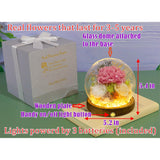 Long-Lasting Real Flowers, Unique Floral Gift For You To Send Love For All Occasions, For Indoor Decoration (Pink Carnation, White & Yellow Roses Arrangement)